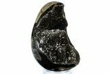 Septarian Dragon Egg Geode - Sparkly Black Crystals #308801-2